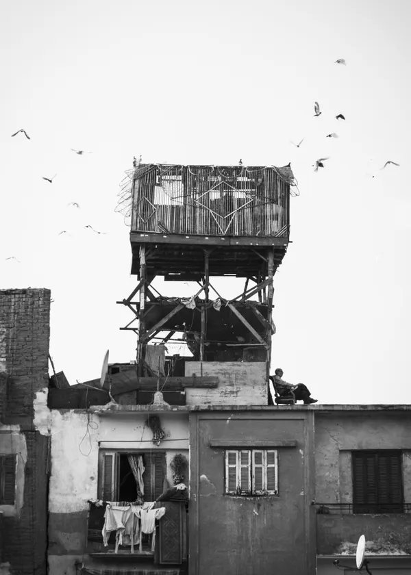 Waiting for the Cannon thumbnail