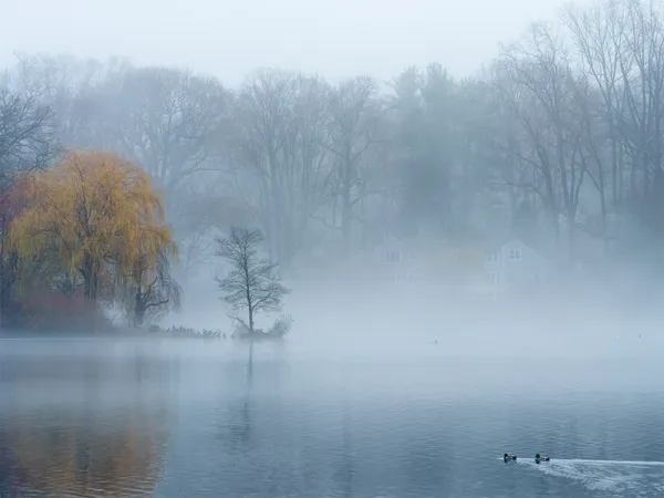 Fog Lake thumbnail