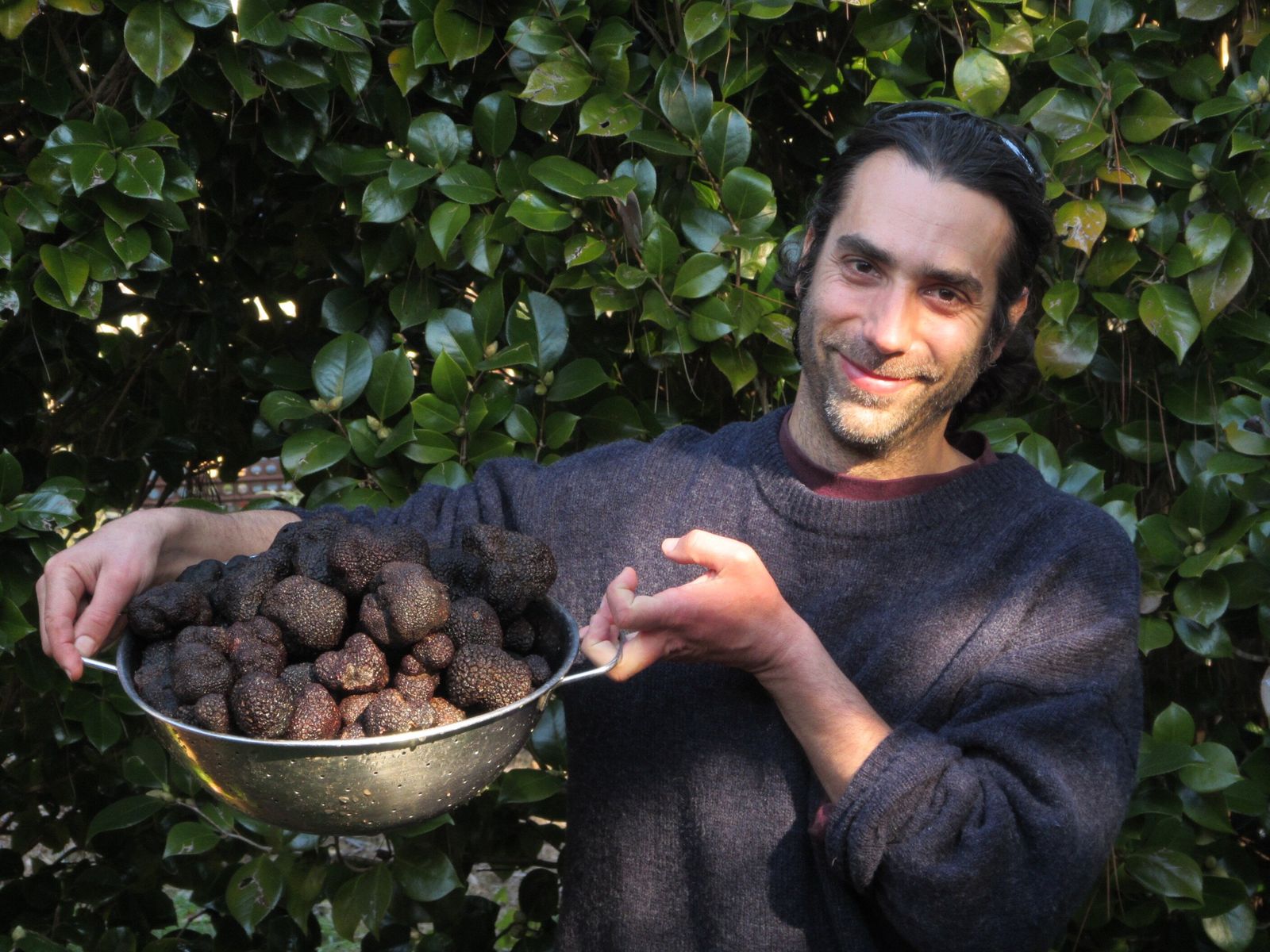 Australia Has a Surprisingly Successful Truffle Industry. This New Study Could Explain Why