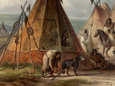 A dog being hitched to a travois in an 1844 painting by Karl Bodmer. 