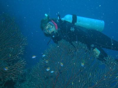 Head scientist at the Smithsonian Marine Station, Valerie Paul, collects blue-green algae samples to study the chemicals they emit. Those chemicals can endanger coral reefs, but also have biomedical potential.