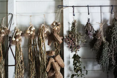The Archive of Healing lists traditional remedies, procedures and practices from all seven continents.