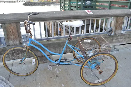 Adult tricycle