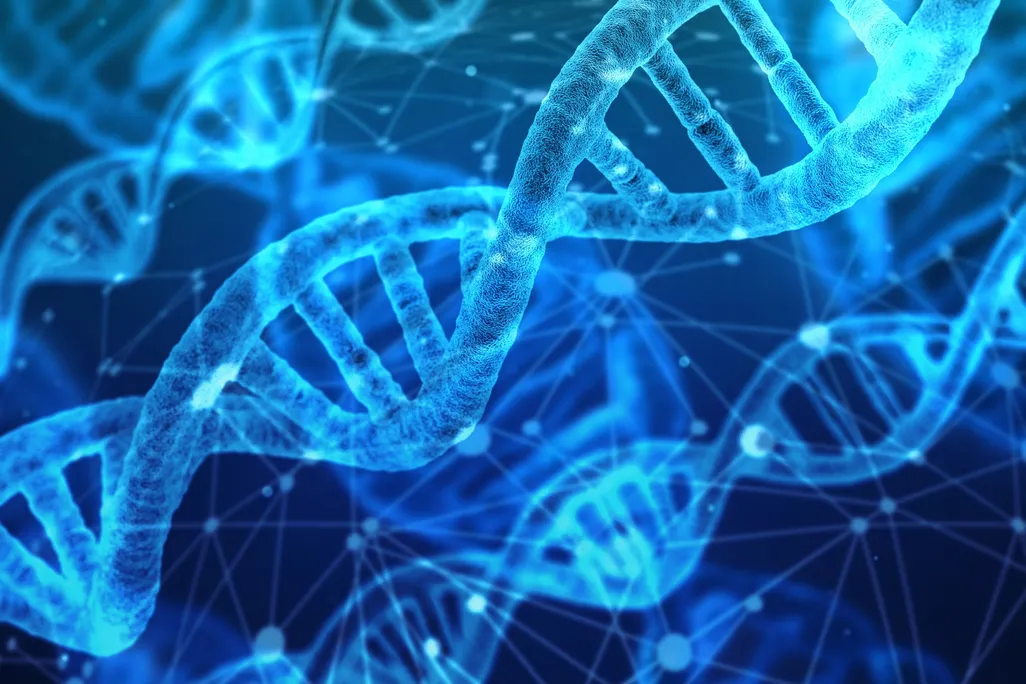 illustrated DNA