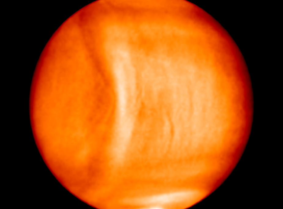 Venus Wave