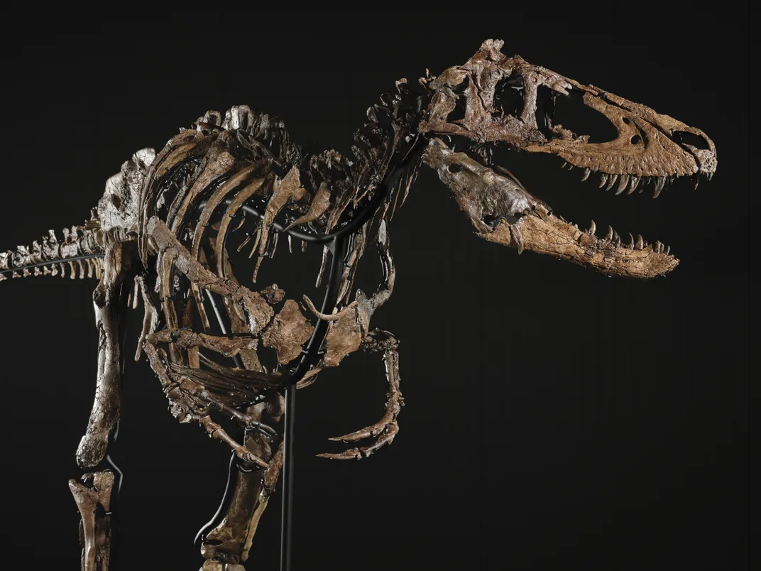 the skeleton in semi-profile