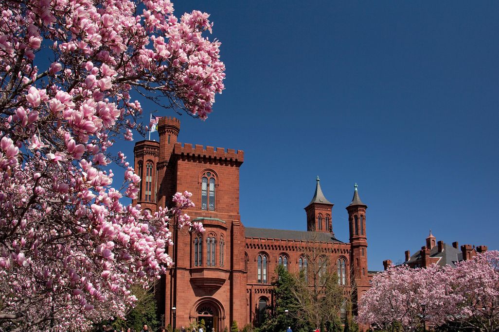 Smithsonian Castle in the spring