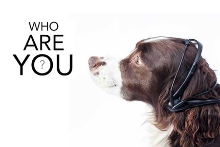 EEG technology allows people to play music and control vehicles with their minds. But can it translate a dog's thoughts into words?