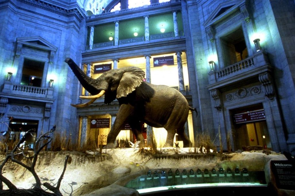 Natural History Museum