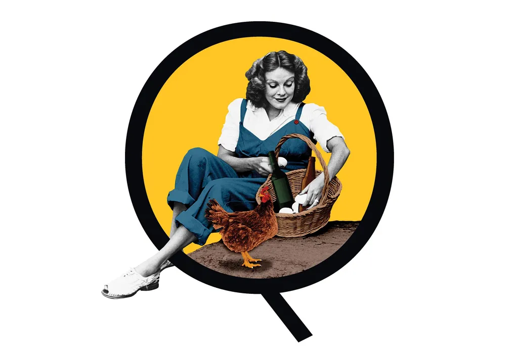 Woman illustration