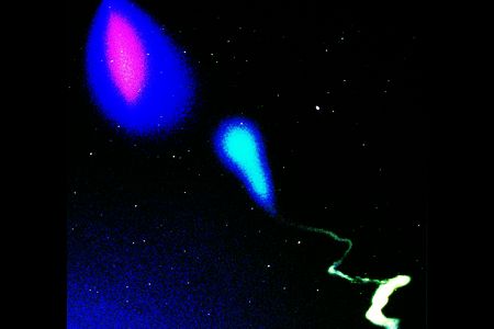 The cloud in the upper left hand part of the image are from a barium release—with the purple-red ionized cloud oriented along the Earth’s magnetic field lines. The blue and white trail in the lower portion of the image is from a tri-methyl-aluminum vapor trail that follows neutral wind.