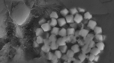 A piece of black marble from a quarry in Vermont as seen under a scanning electron microscope