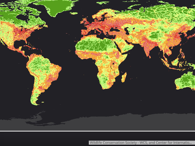 A map of human impacts around the globe where green areas show areas with the least amount of human influence and red and purple show the areas with the greatest.
