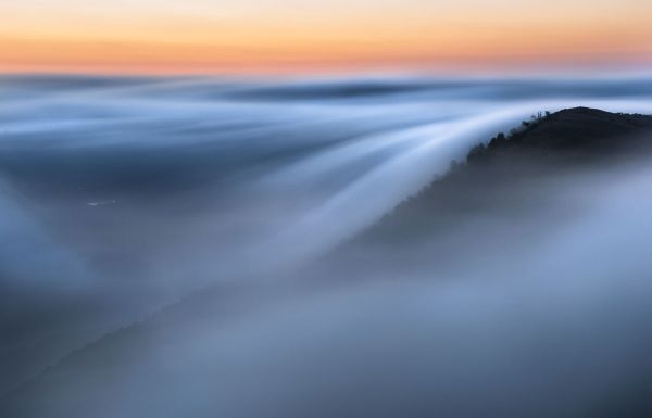 Dancing Fog thumbnail