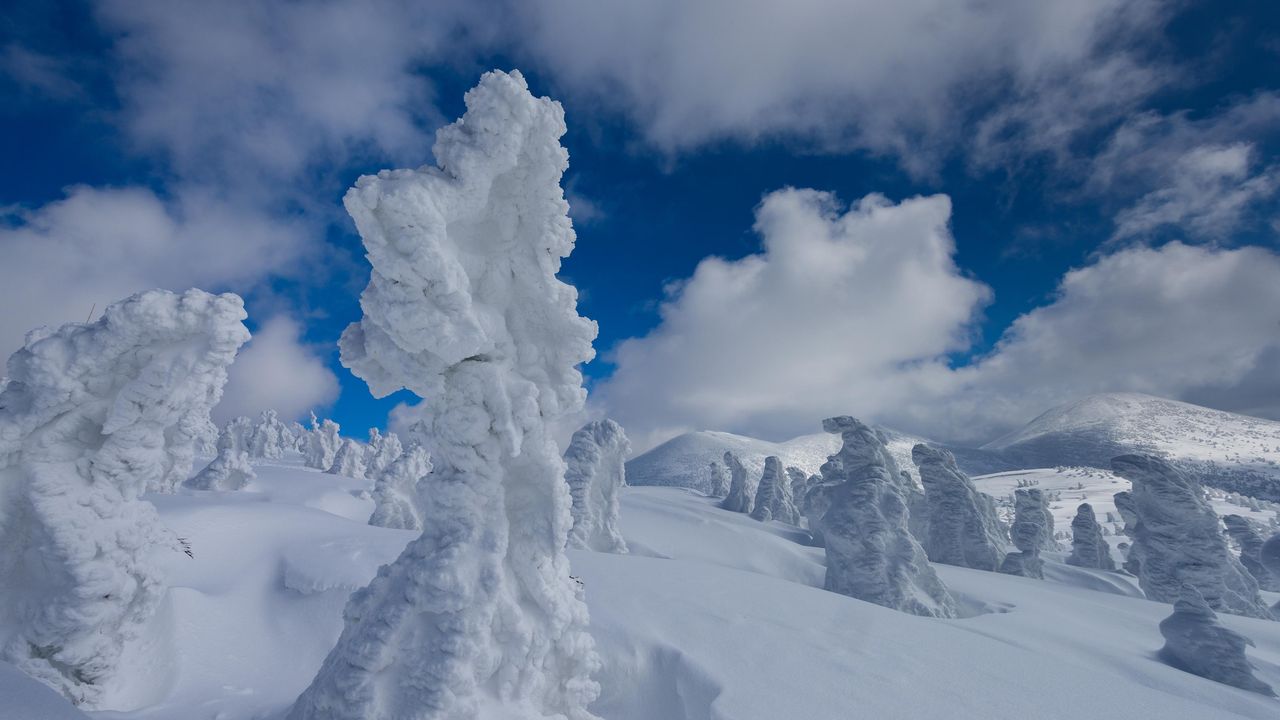 Arboreal 'Snow Monsters' Overrun Northern Japan Every Winter