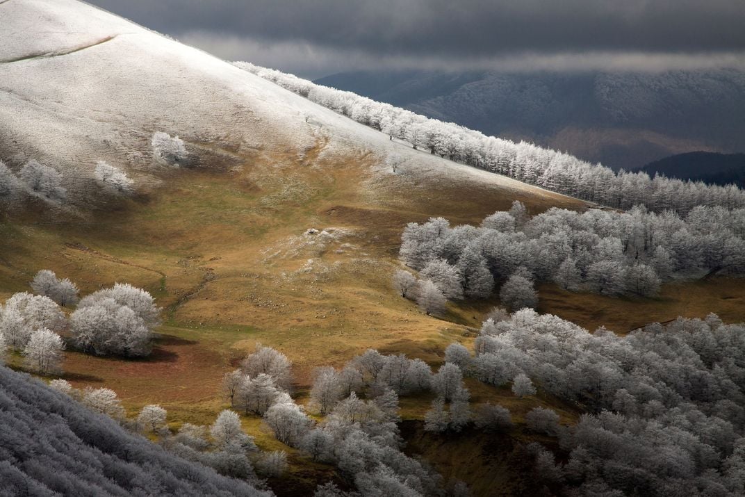 frost covers trees and grass on a mountain