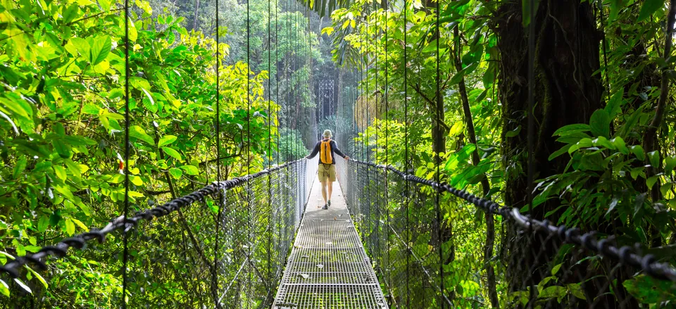  Skywalk in Costa Rica 