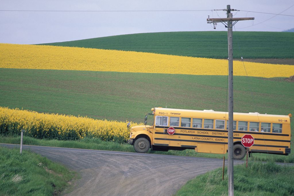 Yellow school bus beside a field