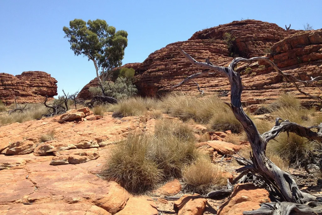 Western Desert Scene