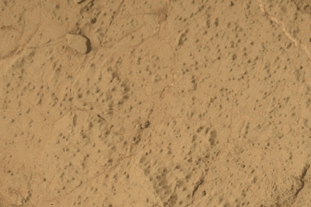In 2013, the Curiosity rover drilled this hole, which measures about 0.6 inches wide and 2.6 inches deep, into martian rock. The sample is now thought to contain long-chain organic molecules.