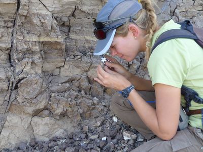Using a geologist’s magnifying glass, Erin DiMaggio carefully scans a piece of volcanic ash in search of tiny minerals that hold the key to determining the age of nearby fossils.  