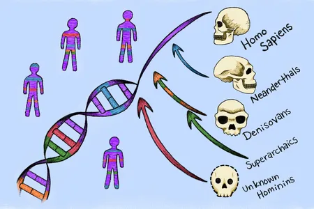 Previous research hinted at ghost ancestry in our DNA, but the new work helps pinpoint the timeline of when the ancient relatives' genetic material entered our genomes.