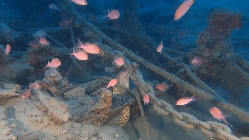 Italian shipwreck