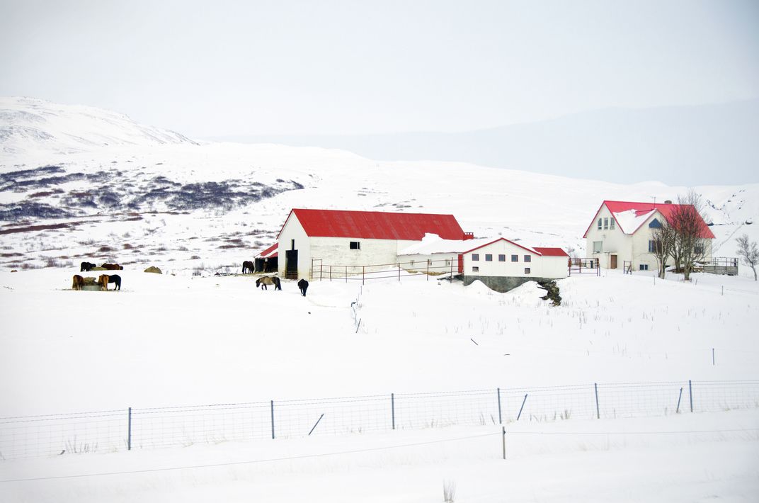 Traditional Icelandic farmhouse in winter
