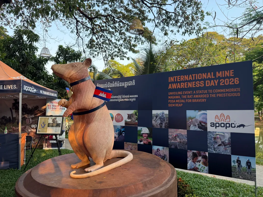 statue rat