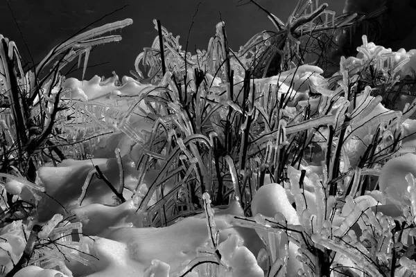 Winter Wonder Land thumbnail