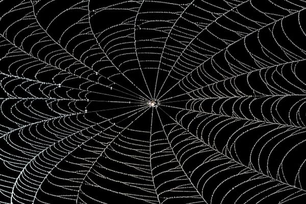 On the Web thumbnail