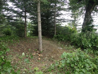The cache pit was discoverd on a hill overlooking the Knik Arm, a thin brach of the Gulf of Alaska.
