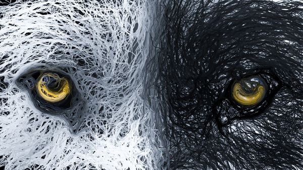 Wolf fibereffect thumbnail