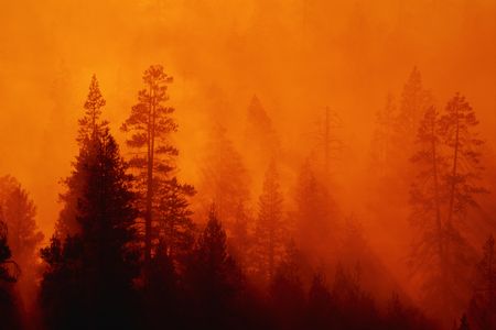 An undated photo of a forest fire in Yosemite 