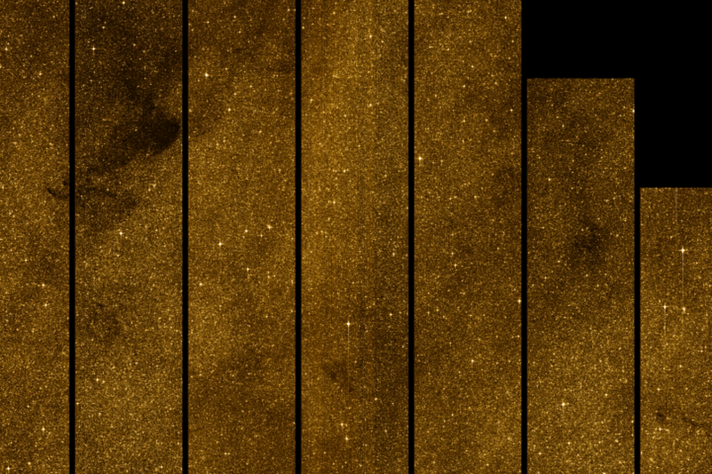 Gaia Stars