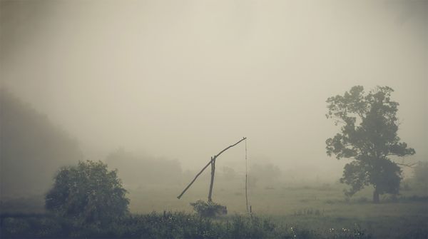 COMPANION OF SOULS thumbnail