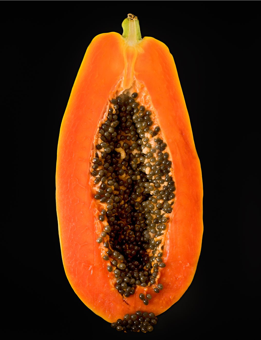 Papaya | Smithsonian Photo Contest | Smithsonian Magazine