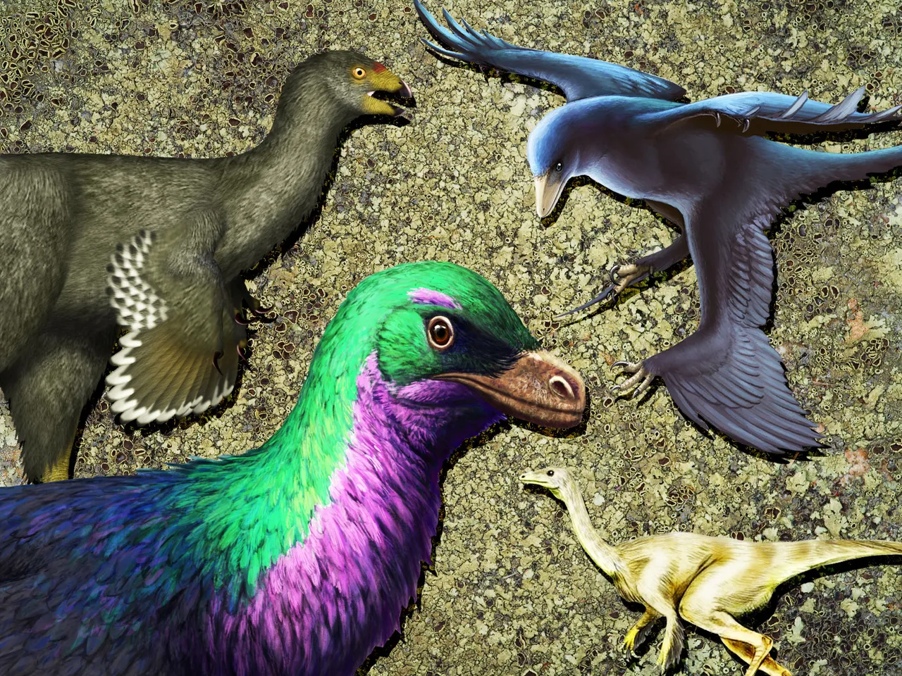 Could Dinosaurs See Color