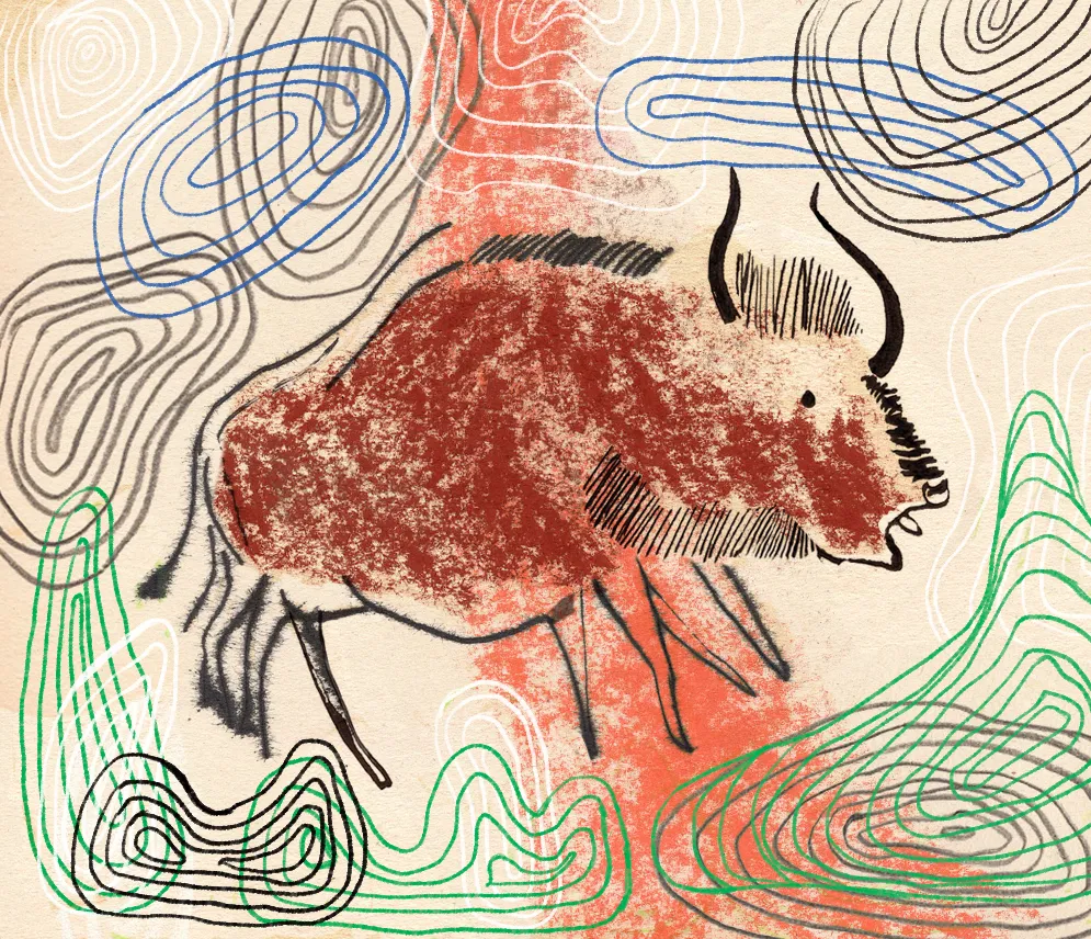 illustration of a bull