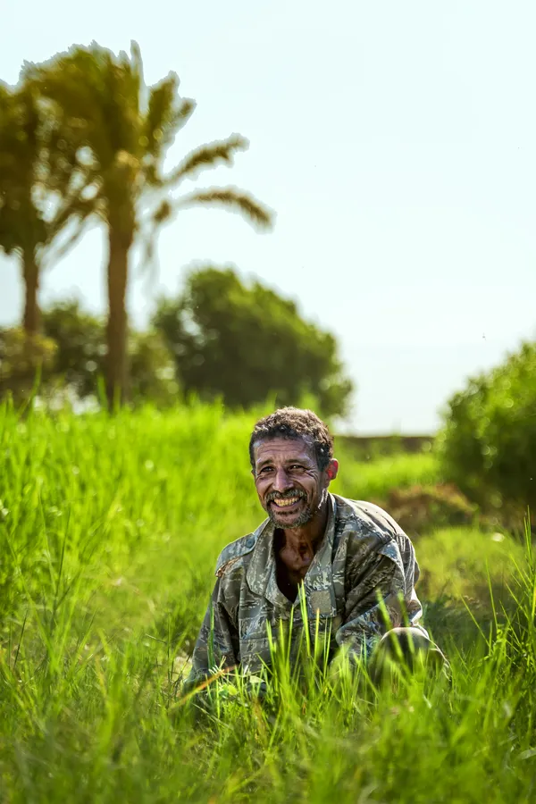 In the middle of crops thumbnail