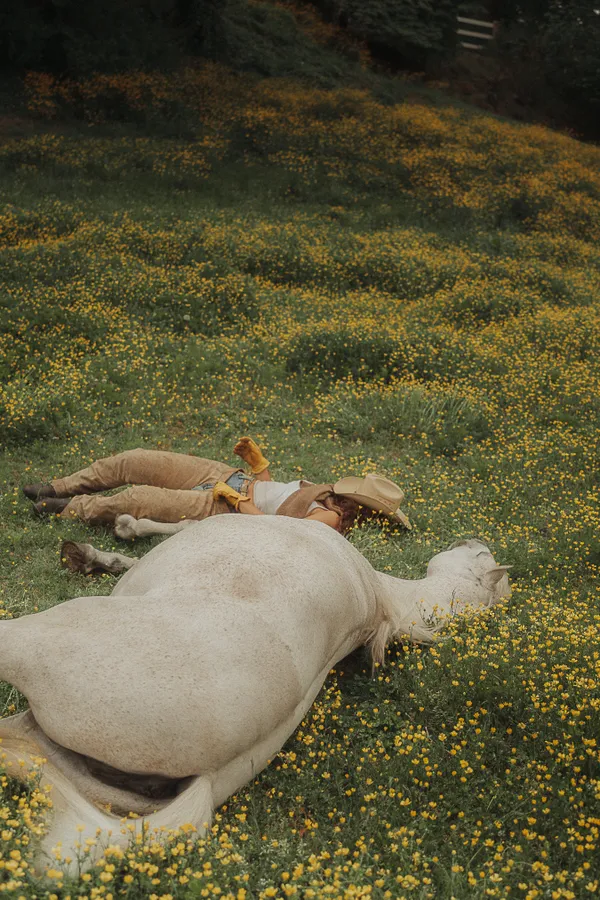 Wildflower thumbnail