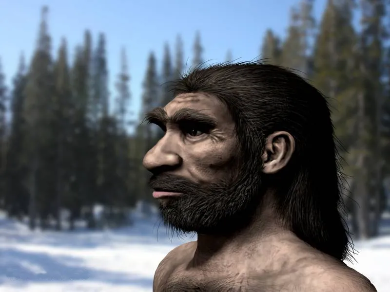 An artistic rendering of what a Homo longi may have looked like.