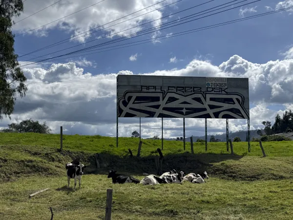 City Cow 7 thumbnail