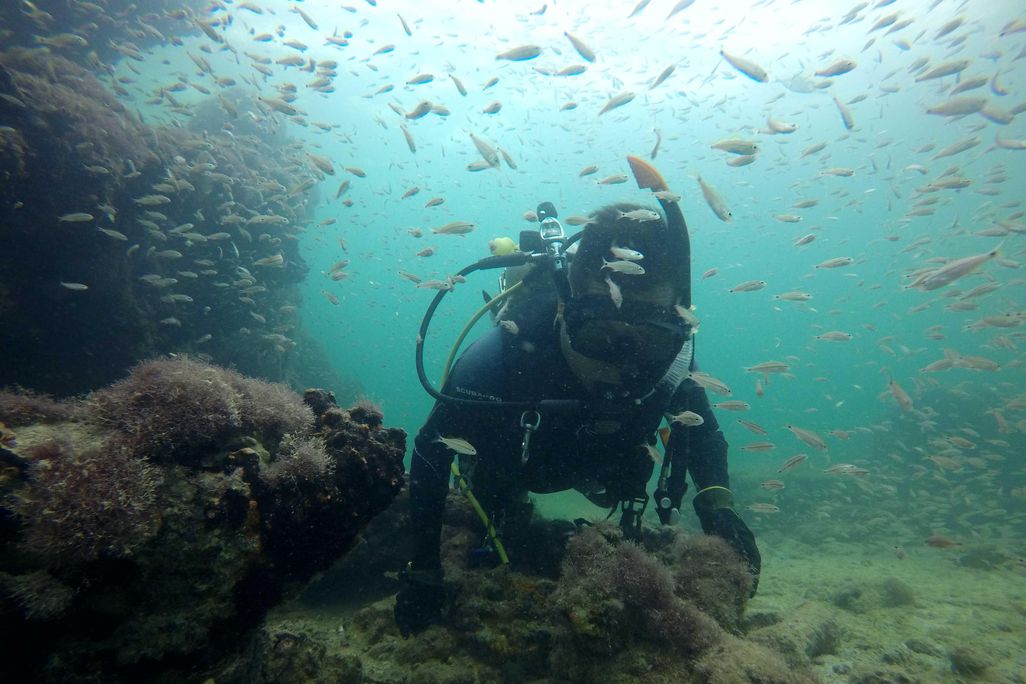 A diver swims toward the camera, surrounded by small yellow fish and close to the sea floor