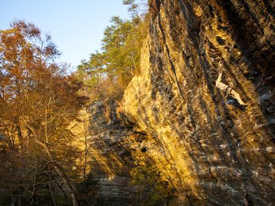 A rock climber in Clifty Wilderness
