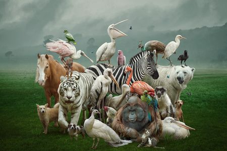 The goal of naming different species is to make sure scientific names are uniform across different fields and research labs.