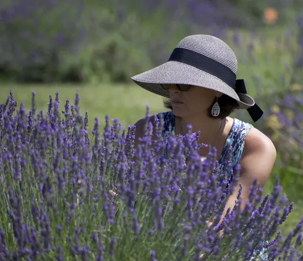 Lavender Abounds thumbnail