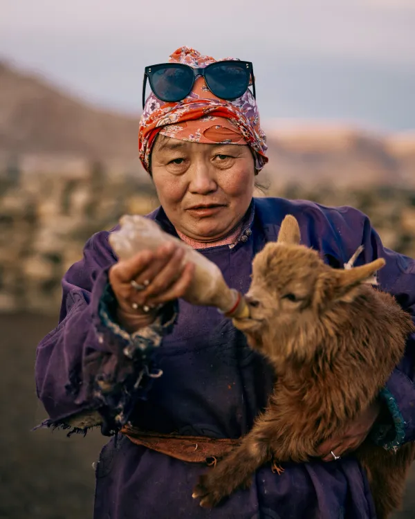 Soyel - Mongolian Nomadic Herder thumbnail