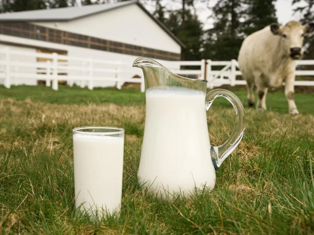 Seven of the Most Extreme Milks in the Animal Kingdom | Science|  Smithsonian Magazine