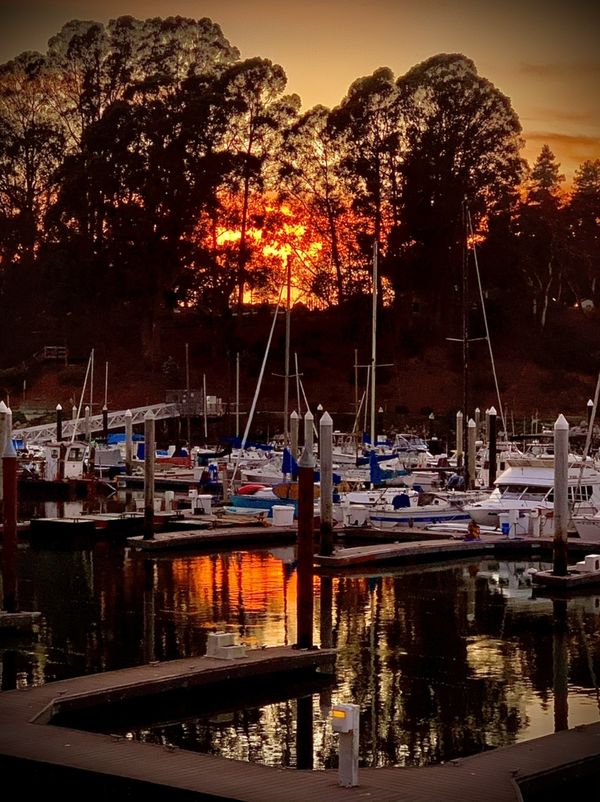 Sunset over the marina in Santa Cruz , Ca thumbnail